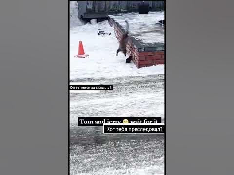 кто преследовал - YouTube