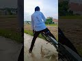 #chhote Chhote #peg #short #video viral 😎😎😎😎