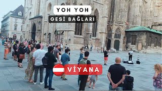 Viyana'da Türkü Söylemek Çok Güzeldi- Ordunun Dereleri -Gesi bağları -Yoh   Yoh- AKIN KEMAL