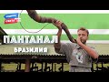 Пантанал. Бразилия. Орёл и Решка. Чудеса света (eng, rus sub)