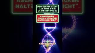 Der Biologische Code (6-6-6 vs. Silizium) #matrix #gesundheit #zellenergie