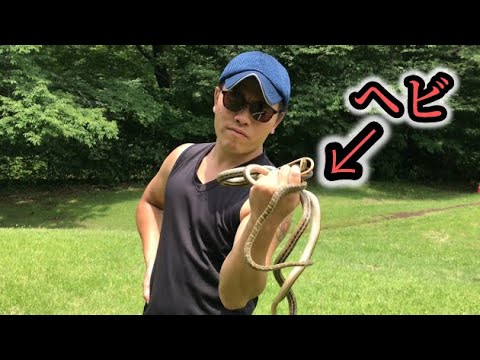 橘ケーツ Kates Tachibana - YouTube