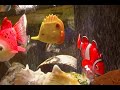 Fake -ARTIFICIAL fish