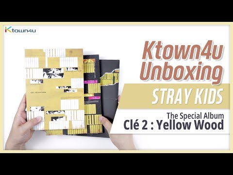 Stray Kids 詰め合わせ Amazon.co.jp: Stray Kids ニューアルバム Maxident ギフト