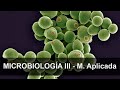 Microbiología 03: Microbiología aplicada