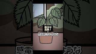 猛毒の雑学３連発