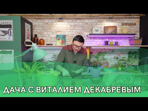 Дача с Виталием Декабревым Сезон 3 / Выпуск 1