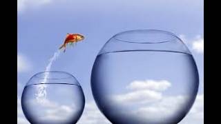 POISSON DU 1ER AU 30 JUIN 2026 CHANGEMENT VOUS PRENEZ UN NOUVEAU CHEMIN  RÉUSSITE 