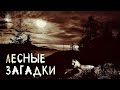 Лесные загадки. Лесные мистические истории (3в1)