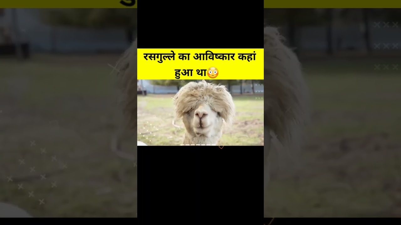 top 5 amazing facts in hindi | mind blowing facts | random facts | facts in hindi | 