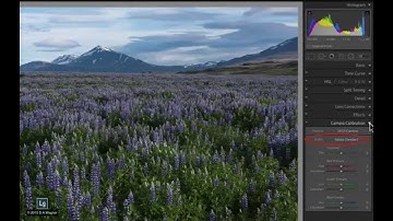 Making Presets From Lightroom Camera Calibration Profiles