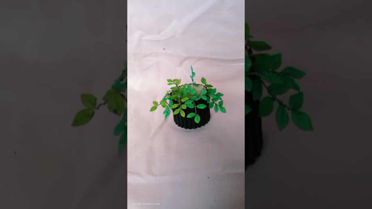 how to made mini plant