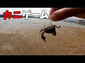 餌代0円！砂浜でカニ獲って釣りをするのが最高に面白い。