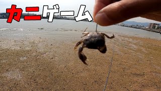 餌代0円！砂浜でカニ獲って釣りをするのが最高に面白い。