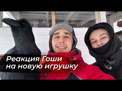 Борьба со снегом на высоте / У нас будет маленький помощник