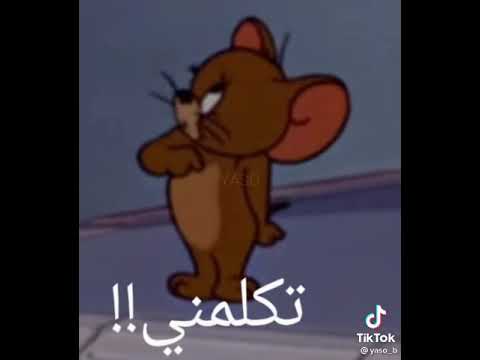 Hamaki Yally Zaalan حماقي ياللي زعلان