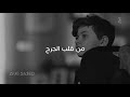 Sherine - Halawat Al Dounia (2017)..شرين - حلاوة الدنيا (بلكلمات)  (حاله واتس)