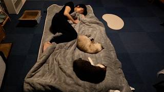 お留守番、最後の夜