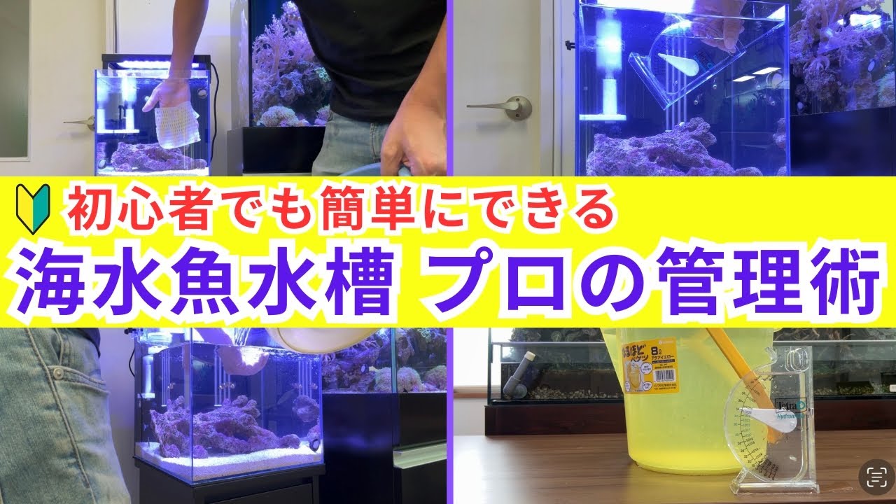【初心者必見!!】海水魚水槽の水換え、コケ取り、海水の作り方、スキマー清掃のコツまですべて解説します