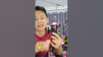 MÁY CÂU CÁ MÁY ĐỨNG SHIMANO SIENNA MÁY ĐỨNG QUỐC DÂN GIÁ RẺ #thanhdang2 #moicaulure #daycauca