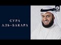 Сура Аль-Бакара, Мишари Рашид | Alafasy Al-Baqarah