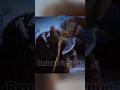 Brok Gave Kratos A Powerful Blessing #godofwar #shorts
