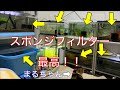 《金魚、熱帯魚》スポンジフィルターをベタ褒め！？