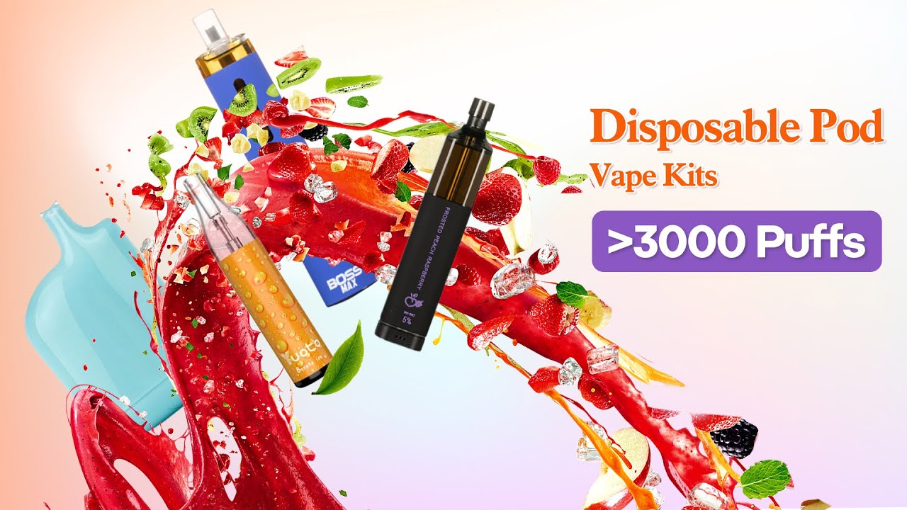 Disposable Pod Vape Kits 3000 puffs + | BestVapeGears