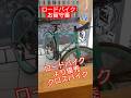 ゆっくりランチ🚴ロードバイク vs クロスバイク 普段使いと駐輪🔰自転車あるある