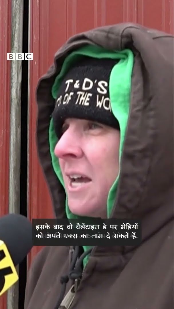 अपने एक्स का नाम किसी जानवर को देना चाहते हैं? #valentinesday #shorts   #couples (BBC Hindi)
