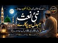 Heart Touching Naat 2026 | Raat Ke Sannaton Mein | Beautiful Urdu Naat #swlvoice #pakistan 