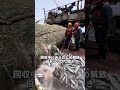 漁師は正気か?数十トンの魚が網に入っているのに……数万ドルもする漁網をわざわざ切り裂いた