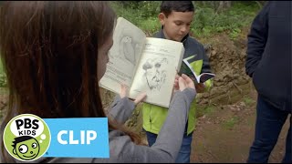 Exploring Wild Plants Molly Of Denali