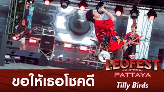 ขอให้เธอโชคดี - Tilly Birds | LEO FEST The Adventure Pattaya