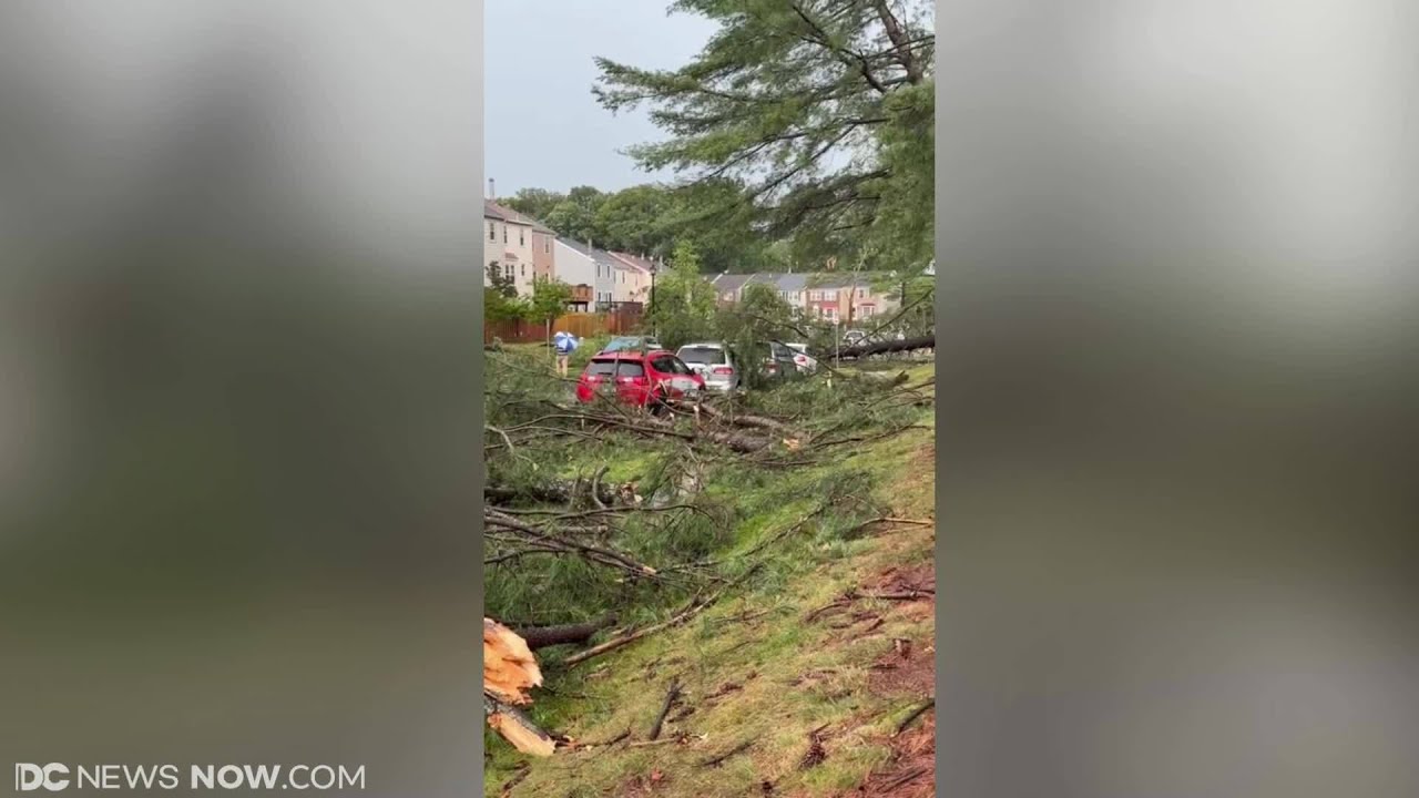 Severe storms cause power outages, knock down trees in Burke - YouTube