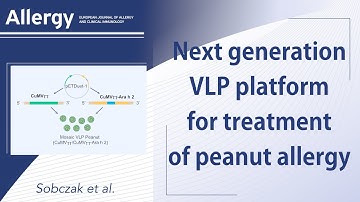 The next generation virus-like particle platform for the treatment of peanut allergy