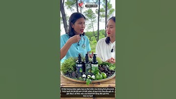 Chất phụ gia trong dầu gội thảo mộc thiên nhiên liệu có an toàn không? #linhducon #review