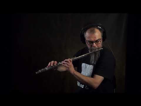 Marco Crestani Jazz Flute(ballad)