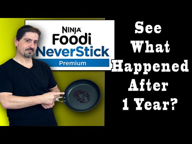 Ninja Foodi Neverstick Pan Review! 