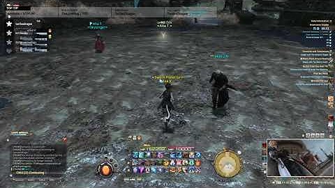 FFXIV | I FOUND A BOT IN THE GAME!