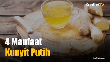 4 Manfaat Kunyit Putih yang Belum Banyak Diketahui