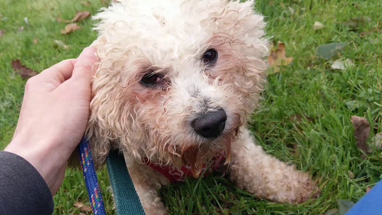 (2019.10.29) Getting used to being outside YouTube