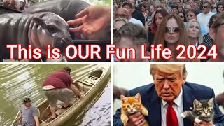 This is OUR Fun Life 2024
