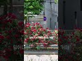 일어나 일어나 다시 한번 해보는 거야#내가좋아하는김광석노래#
