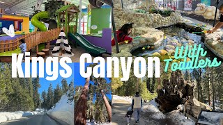 Kings canyon national park with kids  | Visalia儿童博物馆和国王峡谷国家公园带娃公路旅行 | ImagineU Children's Museum