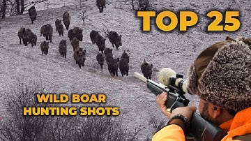 TOP 25 WILD BOAR HUNTING SHOTS