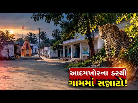ઉના-ગીર ગઢડાના સણોસરી ગામમાં દીપડાનો આતંક, 2 ઓક્ટોબરની ઘટના બાદ ફફડાટ