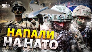 ⚡️Щойно: Росія НАПАЛА на НАТО! У Москві вийшли з ПЕРШОЮ заявою щодо УДАРУ безпілотників