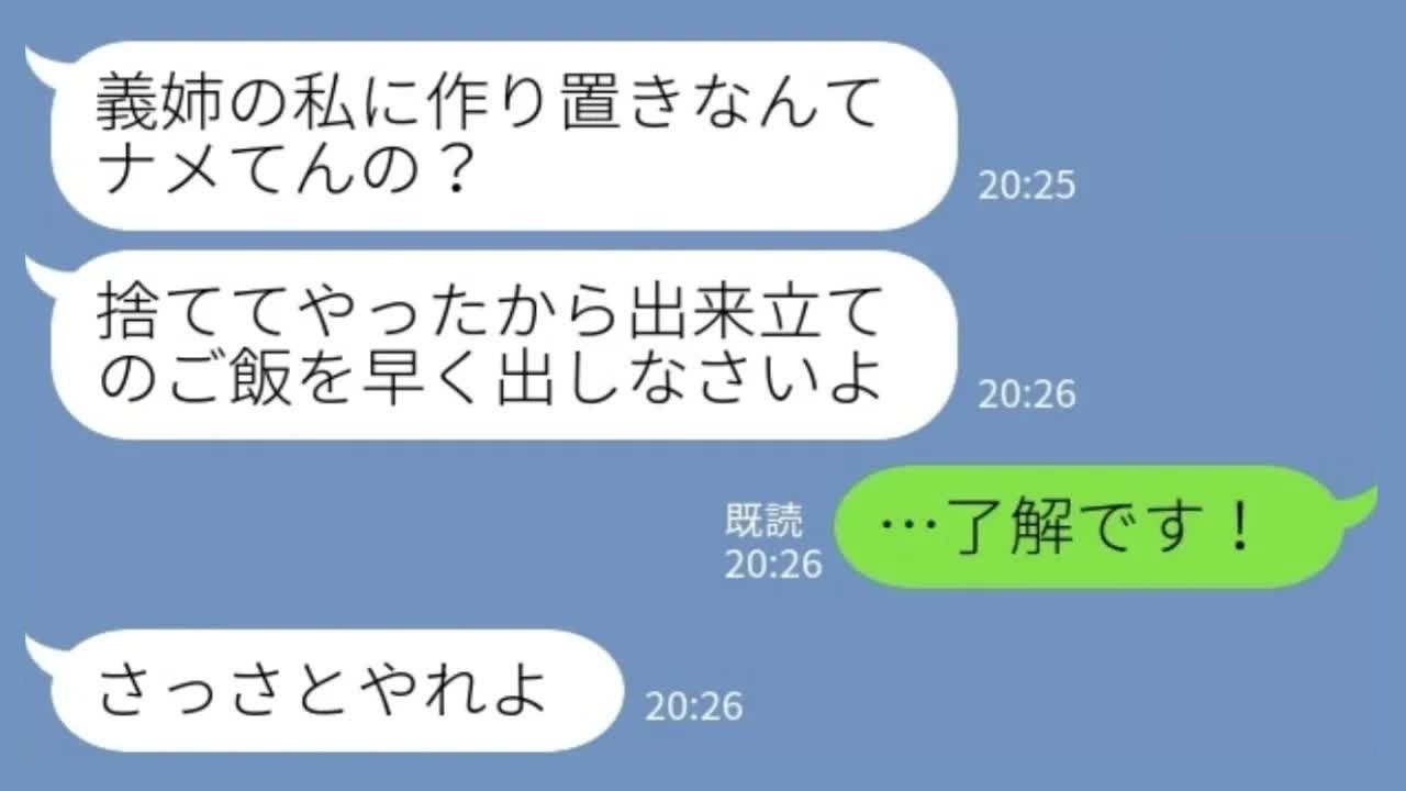 【LINE】義姉「温め直しは食べない！捨てたから作り直せw」私「了解ですw」→姑の許可でブチギレた結果www
