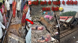 Please Watch This Video Before Coming Here Leopard Attack Human Wildlife Attack Human Jungle Safari